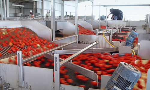 Motors for the food and beverage industry
